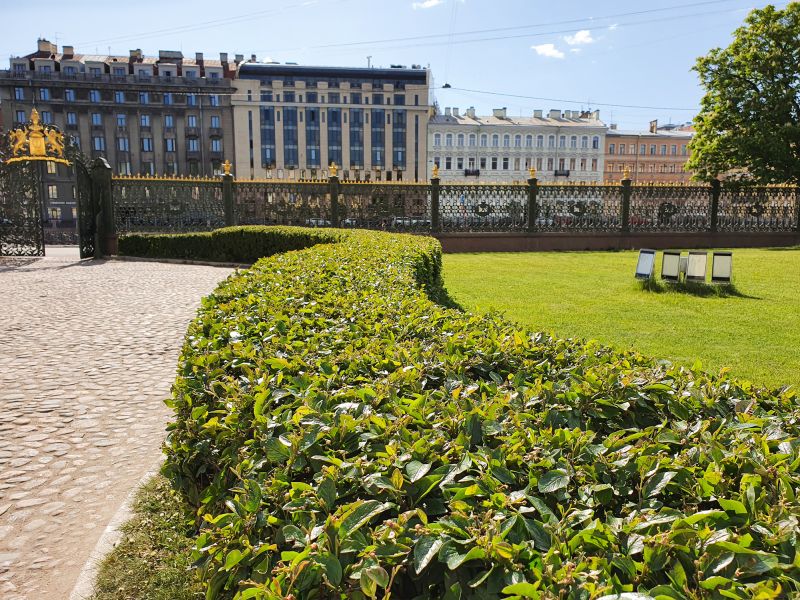 Shrubs After Trimming