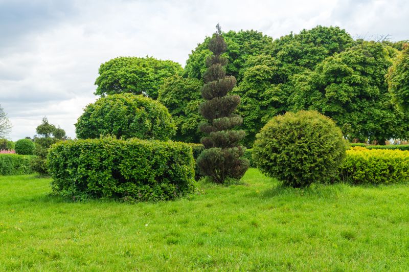 Shrubs Shaped for Aesthetics
